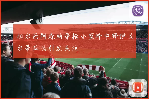切尔西阿森纳争抢小蜜蜂中锋伊戈尔蒂亚戈引发关注